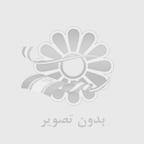 بررسي نقش پيتزا در فرهنگ و تغذيه